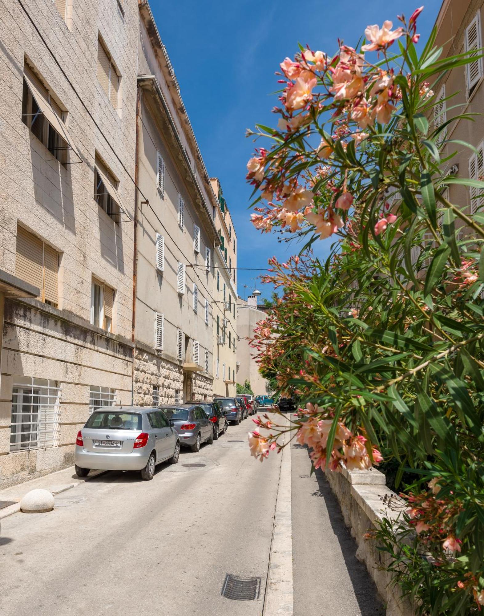 Luxury Rooms And Apartment Silente Bacvice Split Ngoại thất bức ảnh